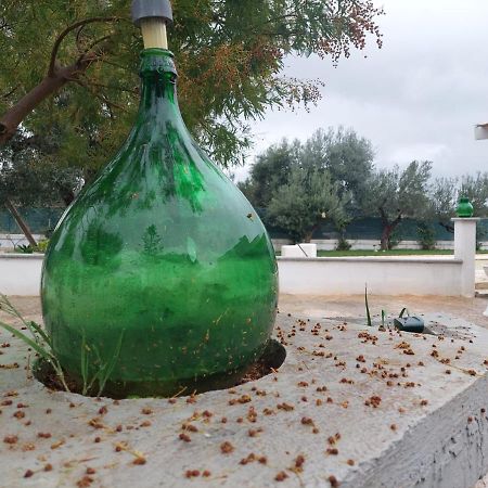 Il Vecchio Carrubo - Villa Con Piscina A Sfioro Macchia di Monte Exteriér fotografie