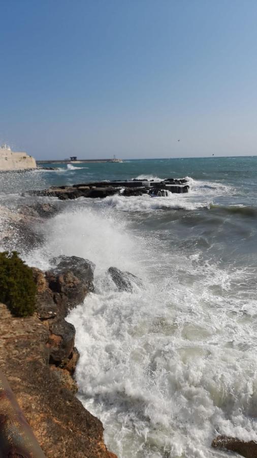 Il Vecchio Carrubo - Villa Con Piscina A Sfioro Macchia di Monte Exteriér fotografie